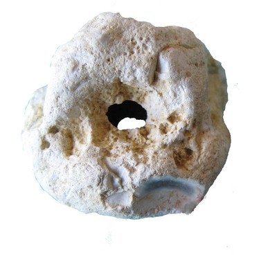 Cailloux_tetemars_07_1_petit_fich_3 Cailloux_tetemars_07_1_petit_fich_3