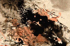 011205_supervielle_1