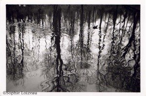 02_loizeau_1