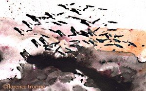 030505gaspar_aquarelle