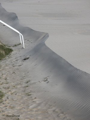 040405dunes_copie