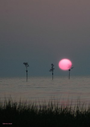 040905_william_cliff