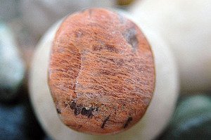 070205galetsquignard