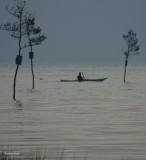 070905_nicole_brossard