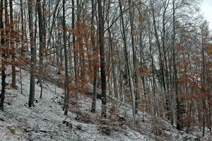 100106_garnier 100106_garnier