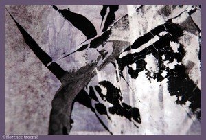 10_cixous 10_cixous