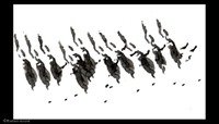 11_marie_etienne 11_marie_etienne