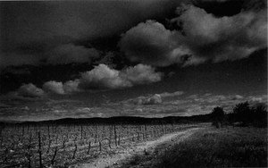 Arrouye_2_photo_2_070