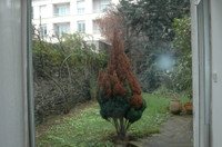 Emaz_jardin_par_tristan_copie