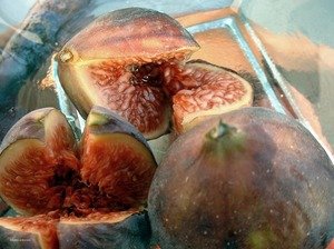 201105_figues_pour_salah_stti