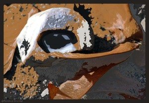 23_antho_1 23_antho_1
