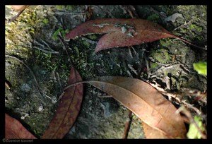 24_fabre_g 24_fabre_g