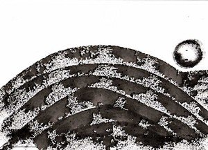 250205_encre_dupin_1