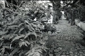 27_le_scanff