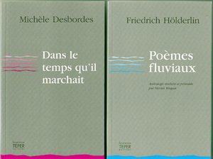 Teper_deux_livres_holderlin