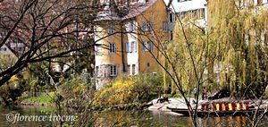 Tour_de_hlderlin_copie