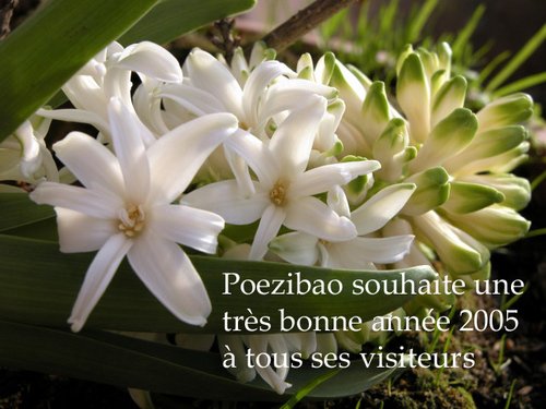 Voeux_poezibao